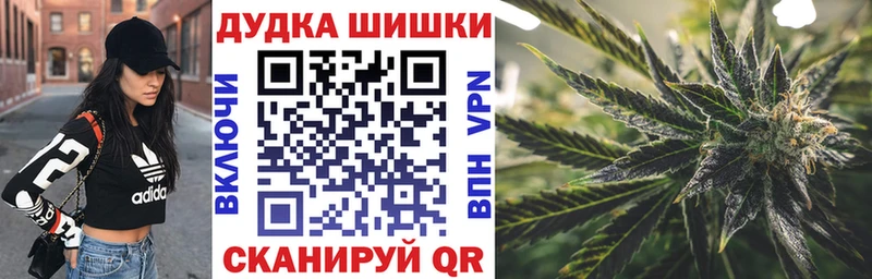 Где продают наркотики Гатчина Галлюциногенные грибы Канабис COCAIN гидра как зайти A PVP