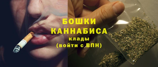 прущие грибы Усмань