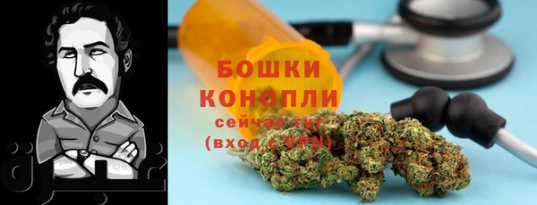 твердый Лиски