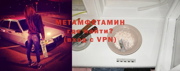 прущие грибы Ельня