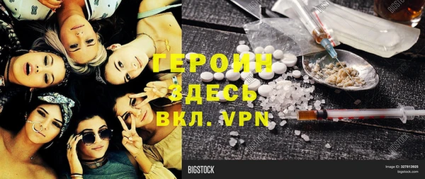 прущие грибы Ельня