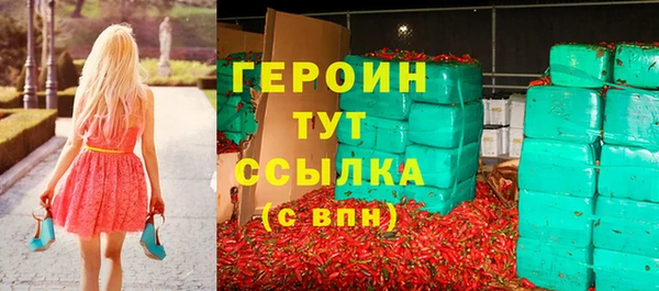 прущие грибы Ельня