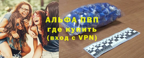 прущие грибы Ельня