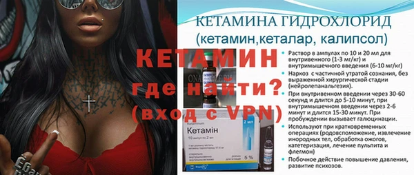 прущие грибы Ельня