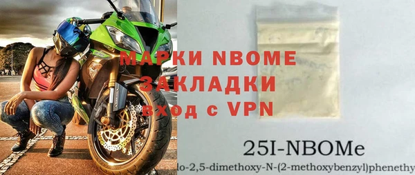 прущие грибы Ельня