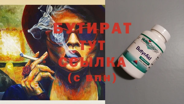 прущие грибы Ельня
