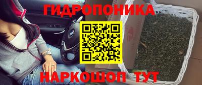 сатива Бугуруслан