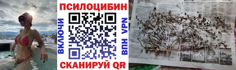 Псилоцибиновые грибы GOLDEN TEACHER Гатчина