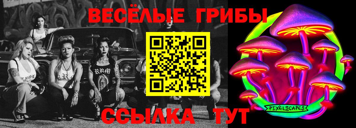Галлюциногенные грибы мицелий  Галлюциногенные грибы Magic Shrooms  Гатчина  Вход с VPN 