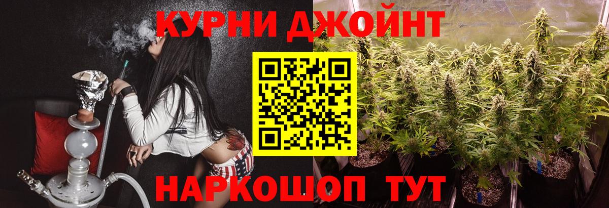 МАРИХУАНА White Widow  Гатчина  Канабис индика 